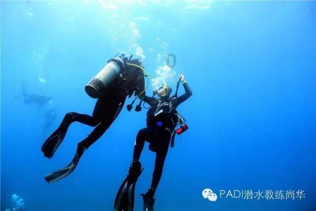 探探猫宝石岛