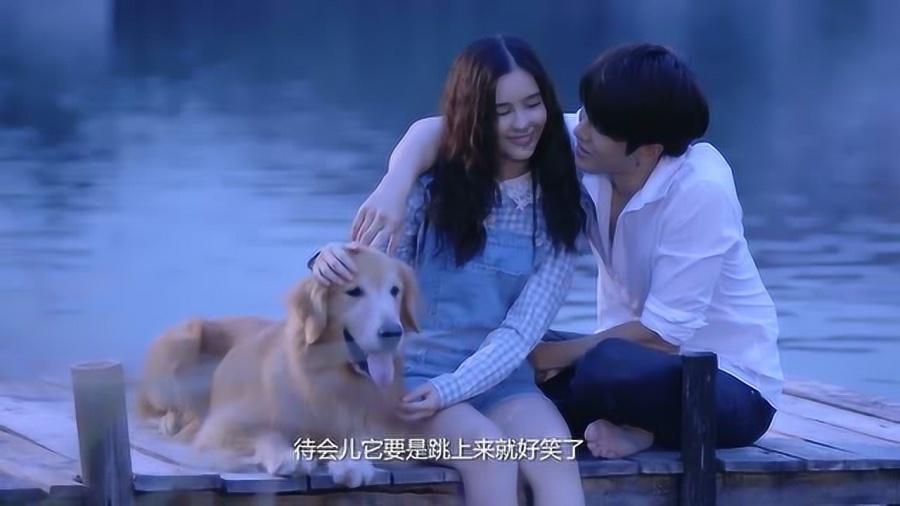 害虫猎人2